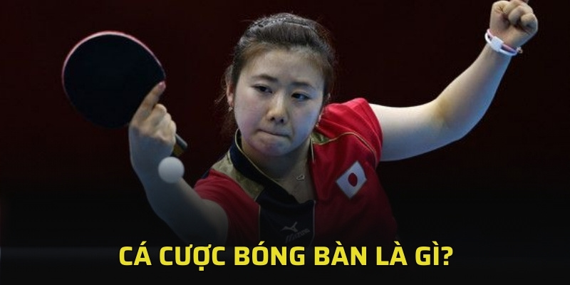 Top 4 Sai Lầm Cần Tránh Khi Cá Cược Bóng Bàn 2 Cá cược bóng bàn là gì?